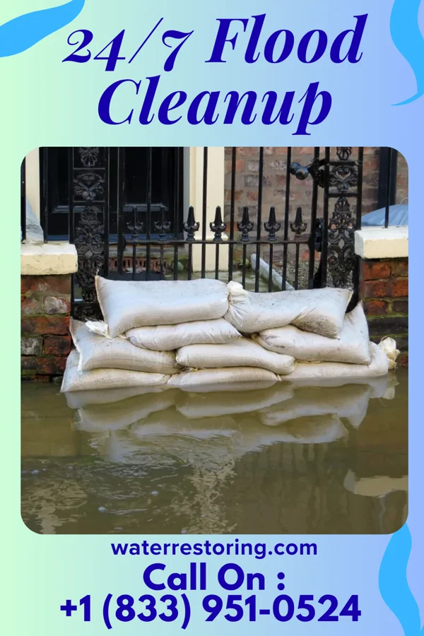 24/7 Flood Cleanup in Bethany Beach, DE