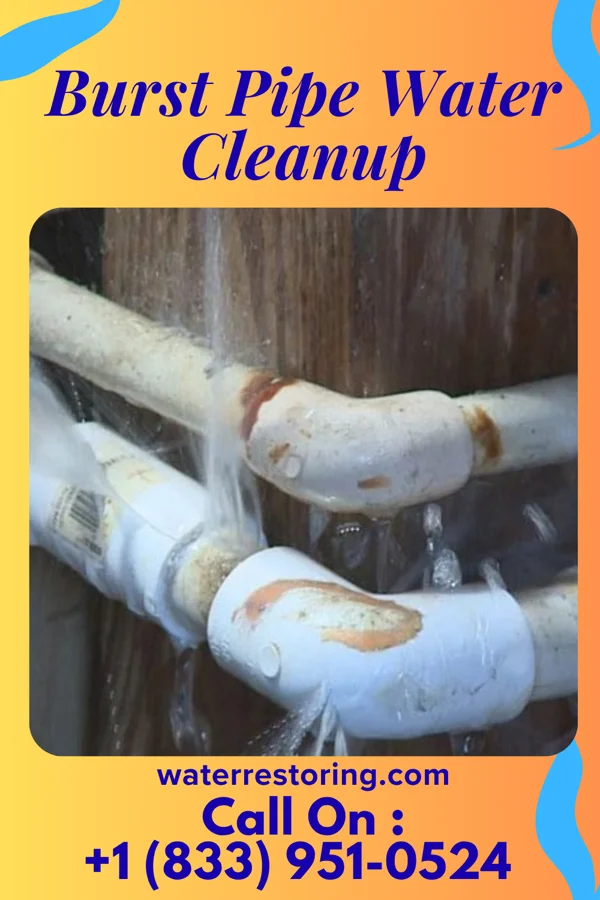 Burst Pipe Water Cleanup in Bethany Beach, DE