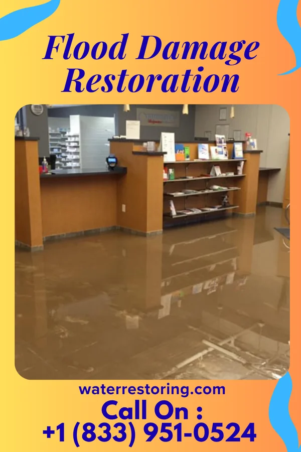 Flood Damage Restoration in Bethany Beach, DE