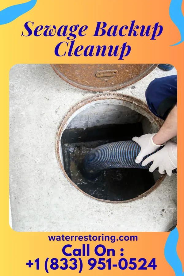 Sewage Backup Cleanup in Bethany Beach, DE