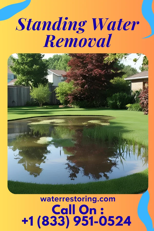 Standing Water Removal in Bethany Beach, DE